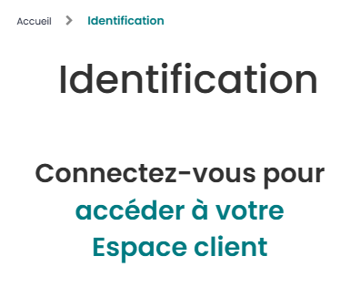 Image identification